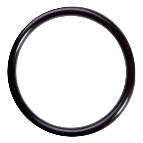 O-ring voor een membraanhuis waar een 400 GPD membraan in gaat.